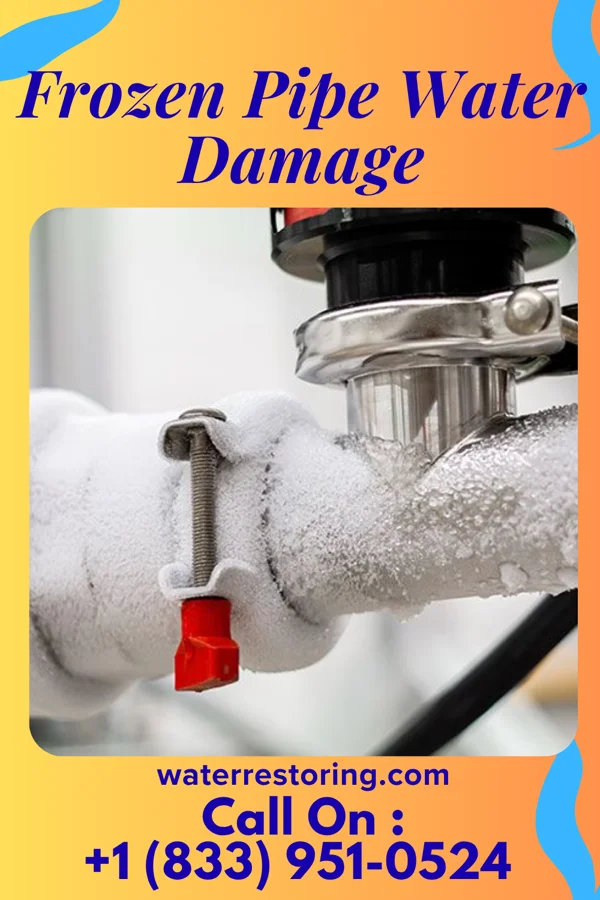 Frozen Pipe Water Damage in Fabrica, TX